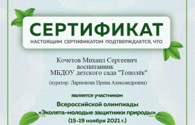 сертификат Кочетов